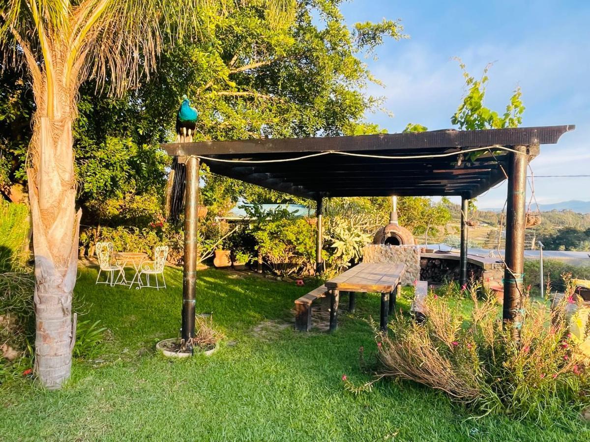 Moonriver Cottage, Prime Lagoon Views & Solar Power Κνύσνα Εξωτερικό φωτογραφία