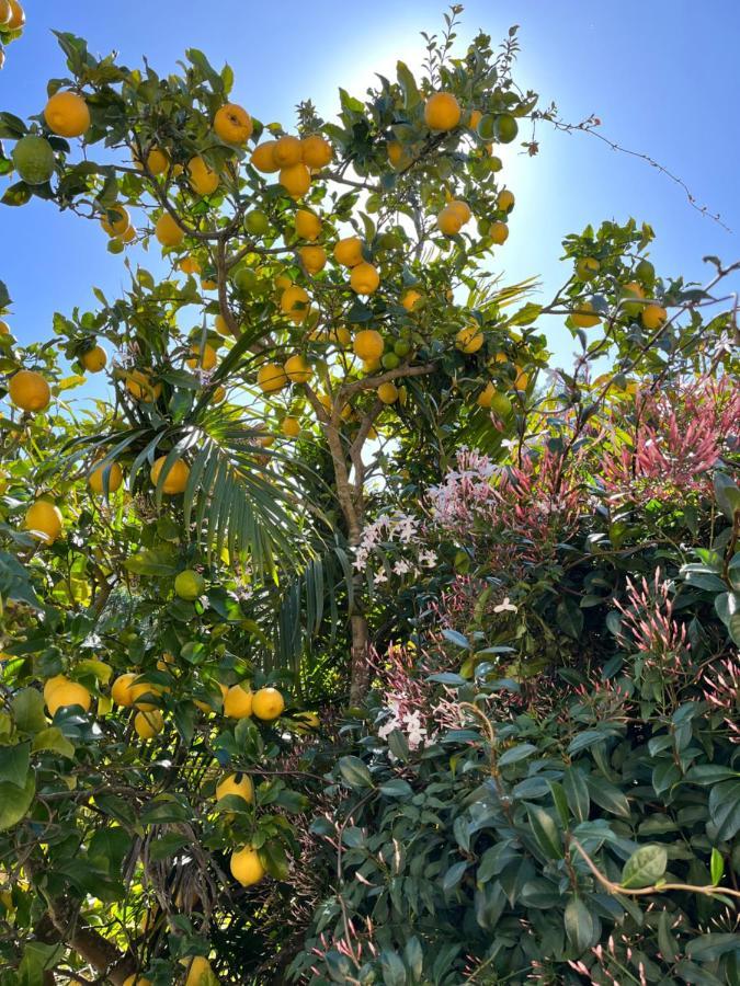Moonriver Cottage, Prime Lagoon Views & Solar Power Κνύσνα Εξωτερικό φωτογραφία